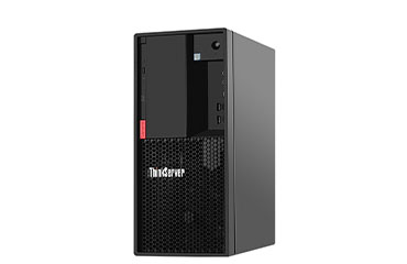 联想ThinkServer TS80X 入门级塔式服务器（英特尔奔腾金牌 G5420 处理器，3.80 GHz，双核心丨16GB DDR4 内存丨256GB 固态硬盘+1TB SATA 机械硬盘丨软RAID丨3年保修）